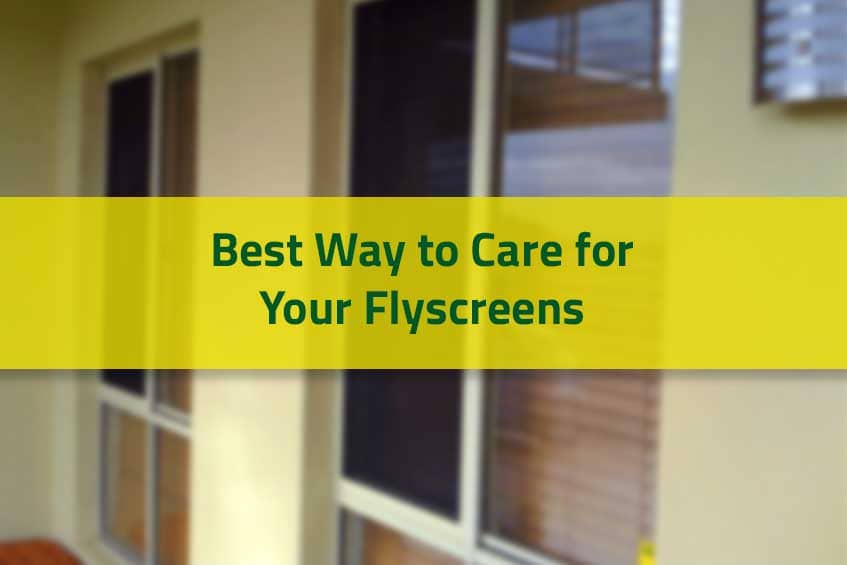 Best Way to Care for Your Flyscreens
